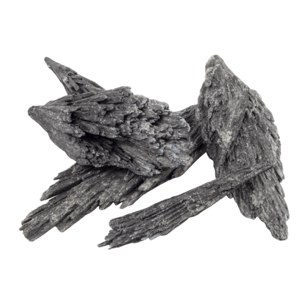 Cianita Negra (Escoba de Bruja)